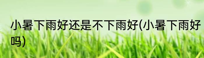 小暑下雨好还是不下雨好(小暑下雨好吗)
