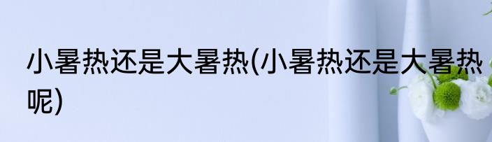 小暑热还是大暑热(小暑热还是大暑热呢)