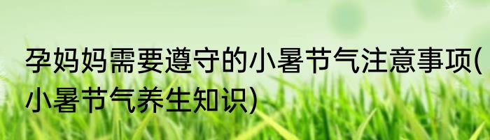 孕妈妈需要遵守的小暑节气注意事项(小暑节气养生知识)