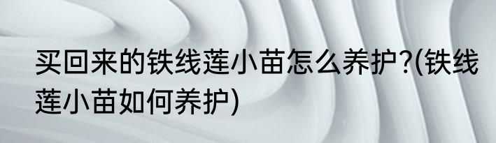 买回来的铁线莲小苗怎么养护?(铁线莲小苗如何养护)