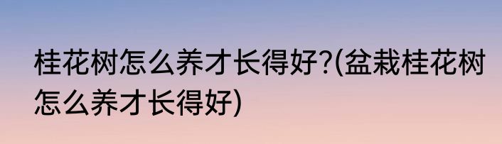 桂花树怎么养才长得好?(盆栽桂花树怎么养才长得好)