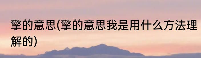 擎的意思(擎的意思我是用什么方法理解的)