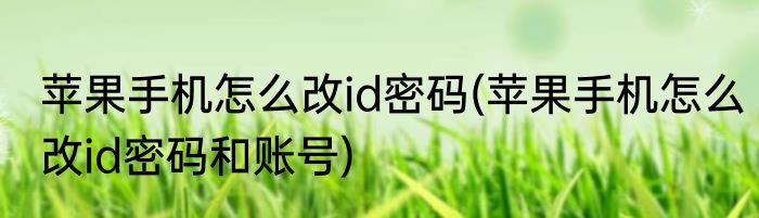苹果手机怎么改id密码(苹果手机怎么改id密码和账号)