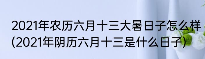 2021年农历六月十三大暑日子怎么样(2021年阴历六月十三是什么日子)
