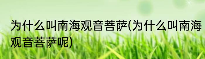 为什么叫南海观音菩萨(为什么叫南海观音菩萨呢)