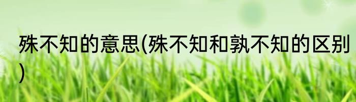 殊不知的意思(殊不知和孰不知的区别)