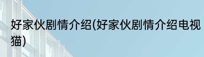 好家伙剧情介绍(好家伙剧情介绍电视猫)