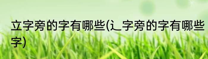 立字旁的字有哪些(辶字旁的字有哪些字)