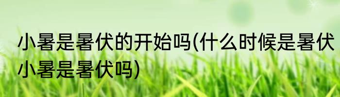 小暑是暑伏的开始吗(什么时候是暑伏小暑是暑伏吗)