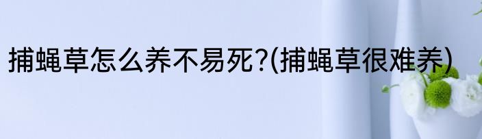 捕蝇草怎么养不易死?(捕蝇草很难养)