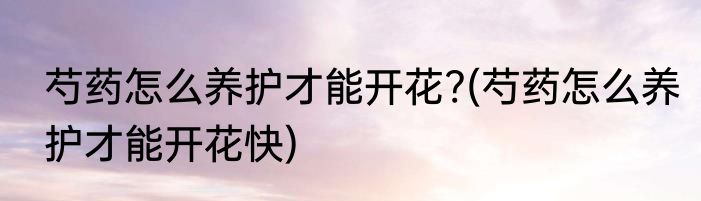 芍药怎么养护才能开花?(芍药怎么养护才能开花快)