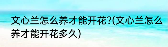 文心兰怎么养才能开花?(文心兰怎么养才能开花多久)