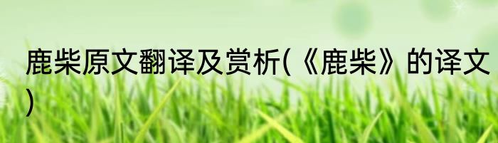 鹿柴原文翻译及赏析(《鹿柴》的译文)