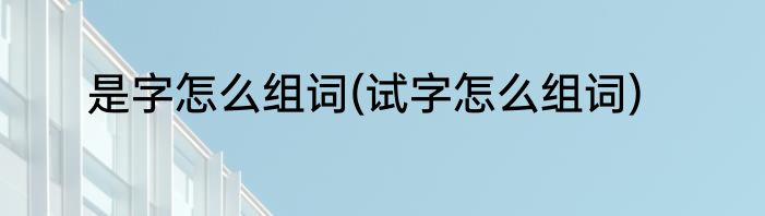 是字怎么组词(试字怎么组词)