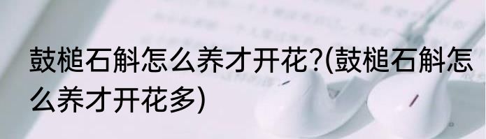鼓槌石斛怎么养才开花?(鼓槌石斛怎么养才开花多)