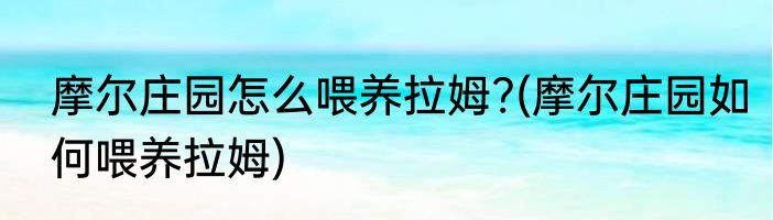 摩尔庄园怎么喂养拉姆?(摩尔庄园如何喂养拉姆)