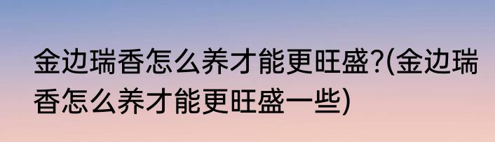 金边瑞香怎么养才能更旺盛?(金边瑞香怎么养才能更旺盛一些)