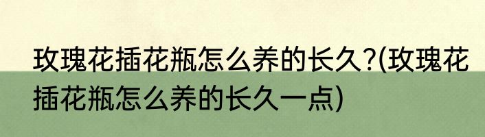 玫瑰花插花瓶怎么养的长久?(玫瑰花插花瓶怎么养的长久一点)
