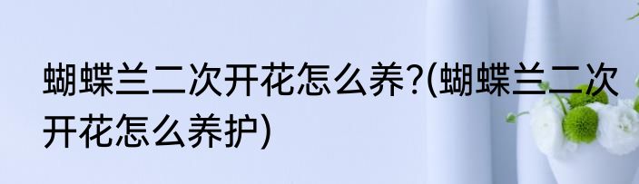 蝴蝶兰二次开花怎么养?(蝴蝶兰二次开花怎么养护)