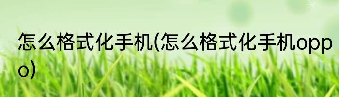 怎么格式化手机(怎么格式化手机oppo)