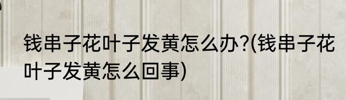 钱串子花叶子发黄怎么办?(钱串子花叶子发黄怎么回事)