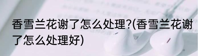 香雪兰花谢了怎么处理?(香雪兰花谢了怎么处理好)