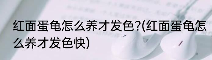 红面蛋龟怎么养才发色?(红面蛋龟怎么养才发色快)