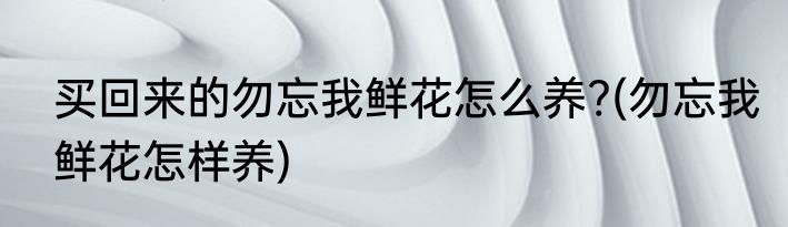买回来的勿忘我鲜花怎么养?(勿忘我鲜花怎样养)