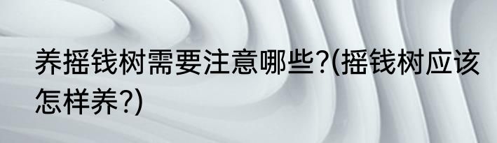 养摇钱树需要注意哪些?(摇钱树应该怎样养?)