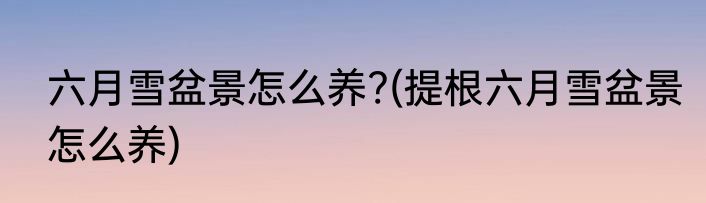 六月雪盆景怎么养?(提根六月雪盆景怎么养)