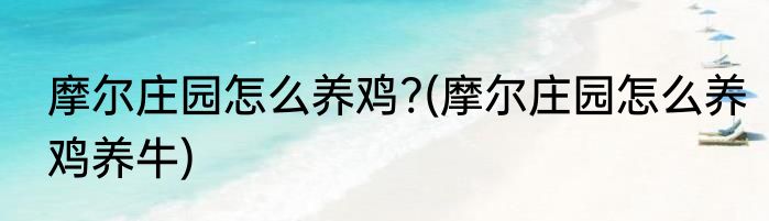 摩尔庄园怎么养鸡?(摩尔庄园怎么养鸡养牛)