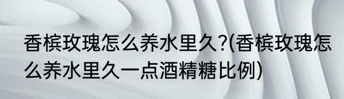 香槟玫瑰怎么养水里久?(香槟玫瑰怎么养水里久一点酒精糖比例)