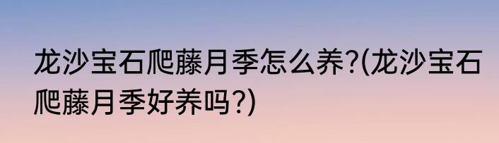 龙沙宝石爬藤月季怎么养?(龙沙宝石爬藤月季好养吗?)