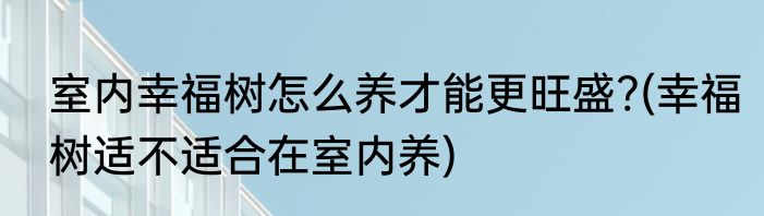 室内幸福树怎么养才能更旺盛?(幸福树适不适合在室内养)