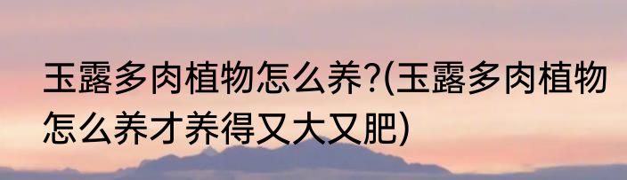 玉露多肉植物怎么养?(玉露多肉植物怎么养才养得又大又肥)