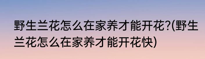 野生兰花怎么在家养才能开花?(野生兰花怎么在家养才能开花快)