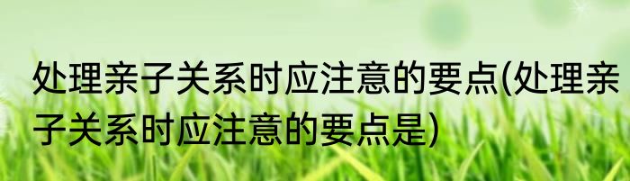处理亲子关系时应注意的要点(处理亲子关系时应注意的要点是)