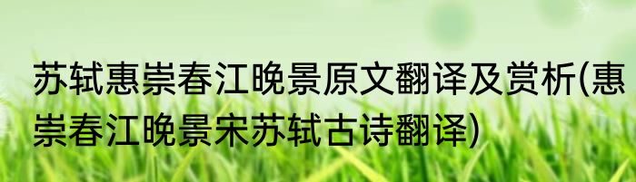 苏轼惠崇春江晚景原文翻译及赏析(惠崇春江晚景宋苏轼古诗翻译)