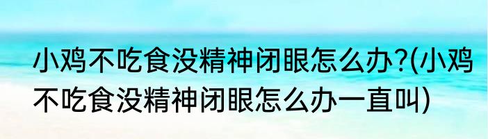 小鸡不吃食没精神闭眼怎么办?(小鸡不吃食没精神闭眼怎么办一直叫)