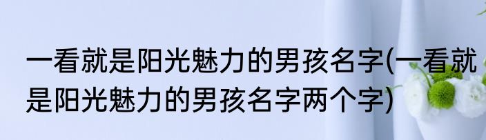 一看就是阳光魅力的男孩名字(一看就是阳光魅力的男孩名字两个字)