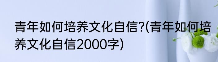 青年如何培养文化自信?(青年如何培养文化自信2000字)