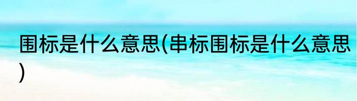 围标是什么意思(串标围标是什么意思)