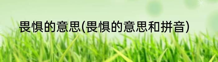 畏惧的意思(畏惧的意思和拼音)