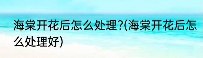 海棠开花后怎么处理?(海棠开花后怎么处理好)