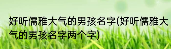 好听儒雅大气的男孩名字(好听儒雅大气的男孩名字两个字)