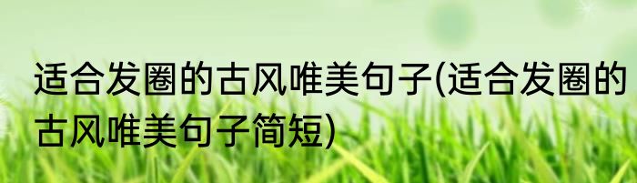 适合发圈的古风唯美句子(适合发圈的古风唯美句子简短)