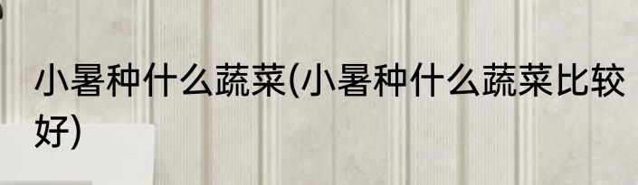 小暑种什么蔬菜(小暑种什么蔬菜比较好)