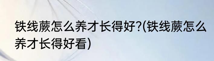 铁线蕨怎么养才长得好?(铁线蕨怎么养才长得好看)