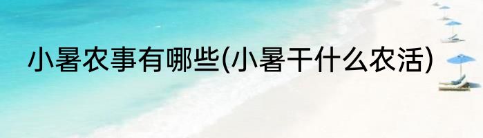 小暑农事有哪些(小暑干什么农活)