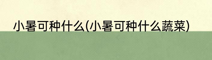 小暑可种什么(小暑可种什么蔬菜)